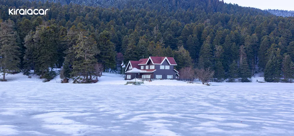 Bolu Gölcük Tabiat Parkı: Doğanın Kucağında Huzur Dolu Bir Kaçamak Arayanlara