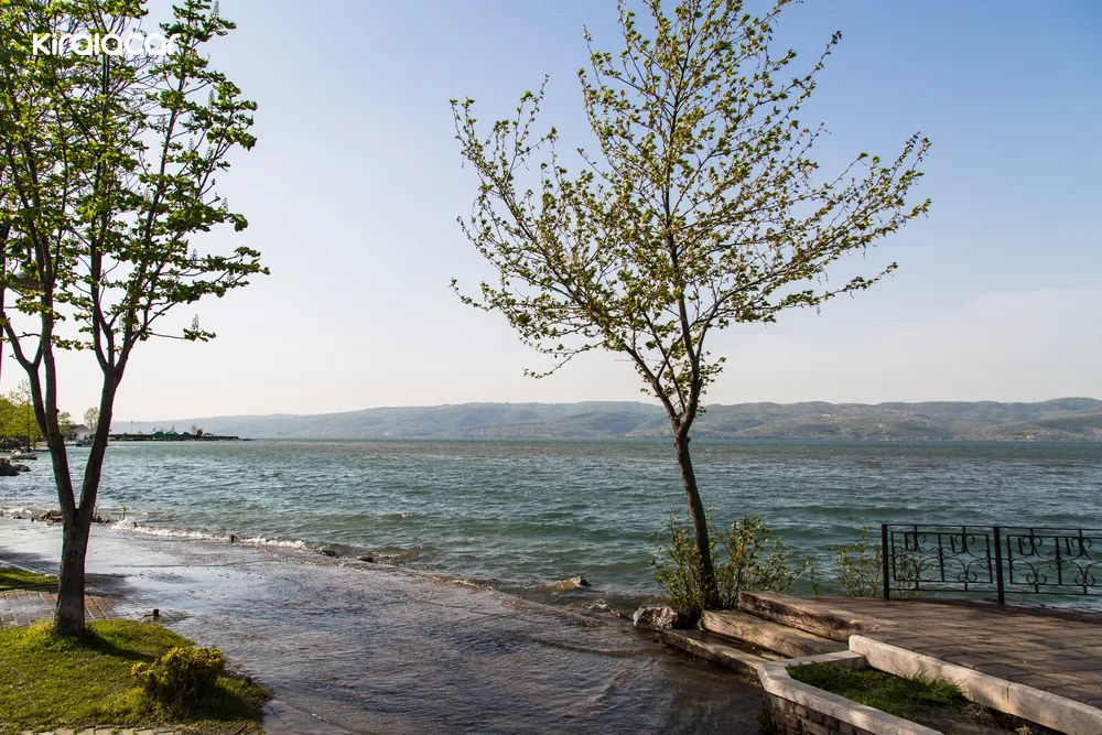 Sapanca Kırkpınar: Doğanın Kalbinde Huzur Dolu Bir Tatil